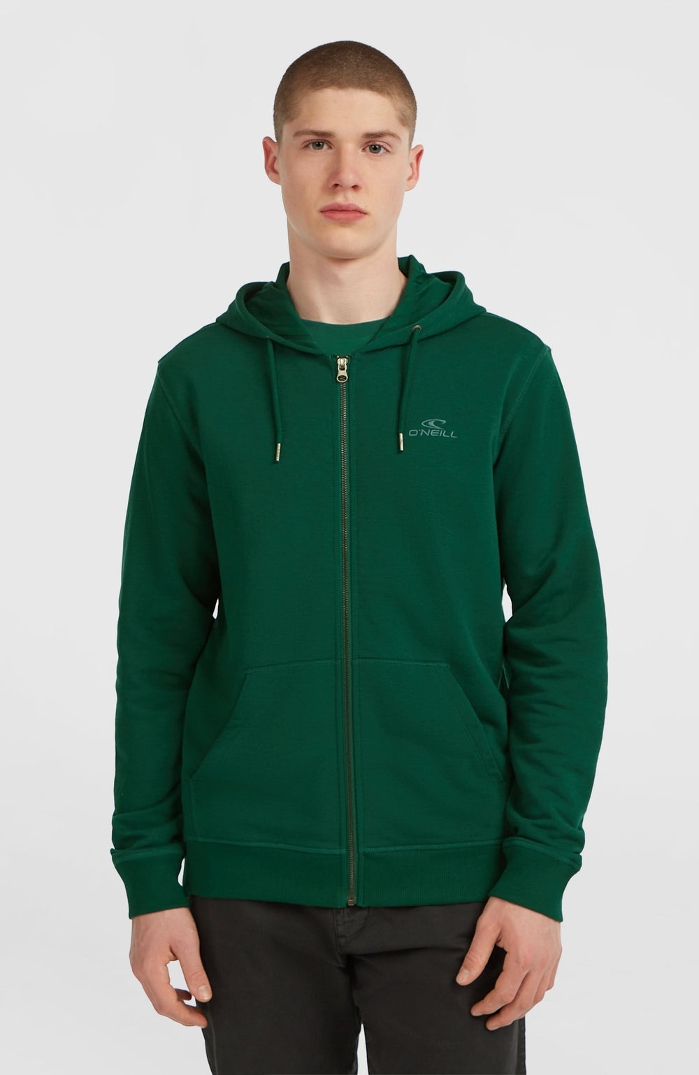 Small Logo Full-Zip Hoodie Emerald Envy