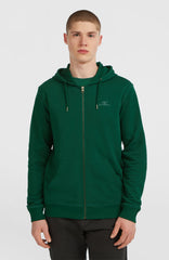 Small Logo Full-Zip Hoodie Emerald Envy