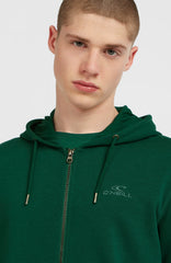 Small Logo Full-Zip Hoodie Emerald Envy