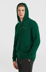 Small Logo Full-Zip Hoodie Emerald Envy