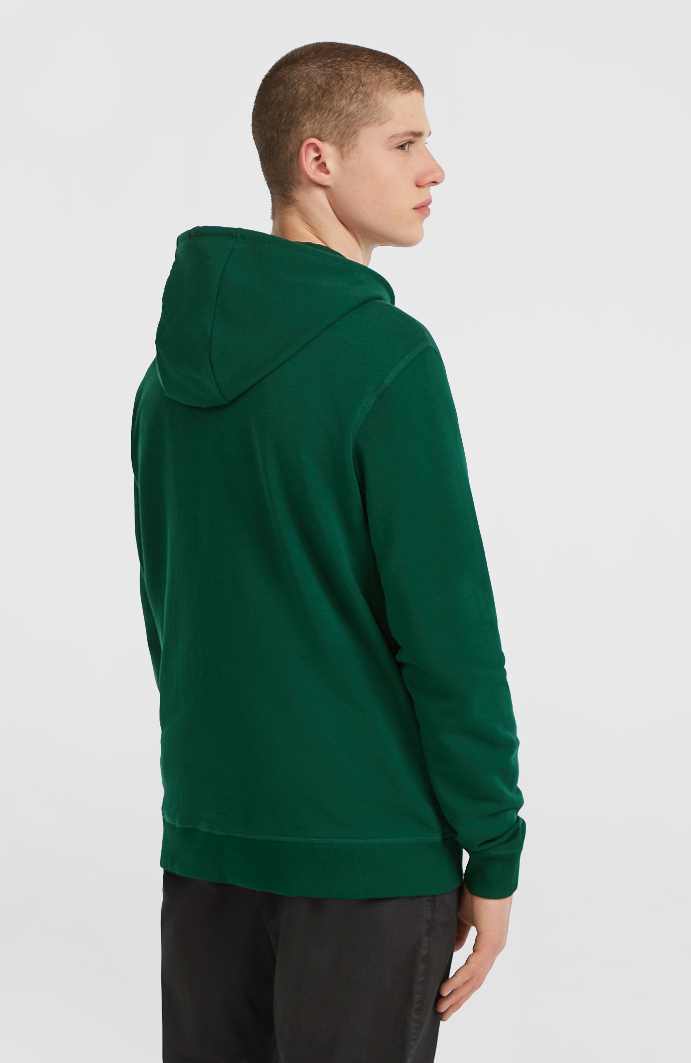 Small Logo Full-Zip Hoodie Emerald Envy