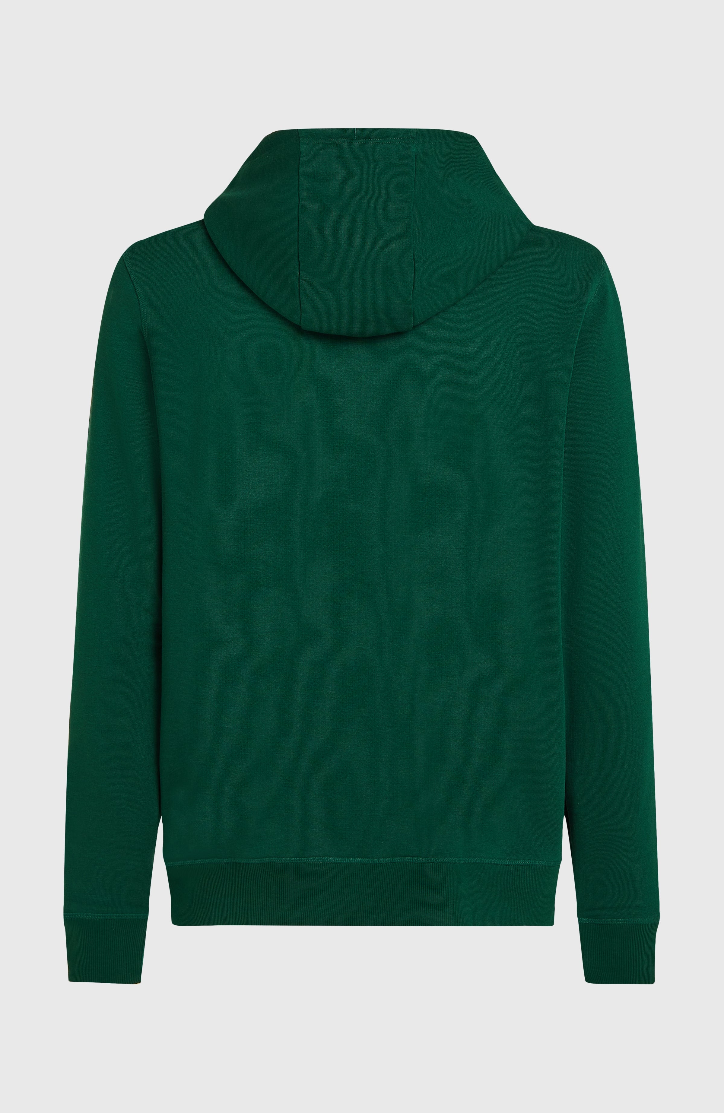 Small Logo Full-Zip Hoodie Emerald Envy