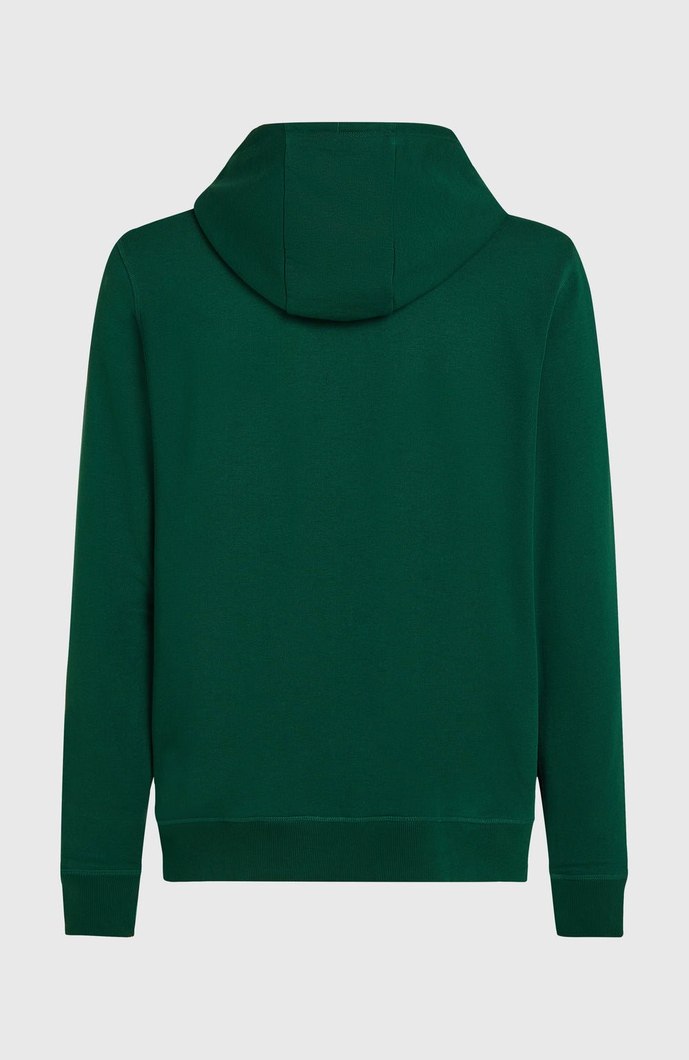 Small Logo Full-Zip Hoodie Emerald Envy