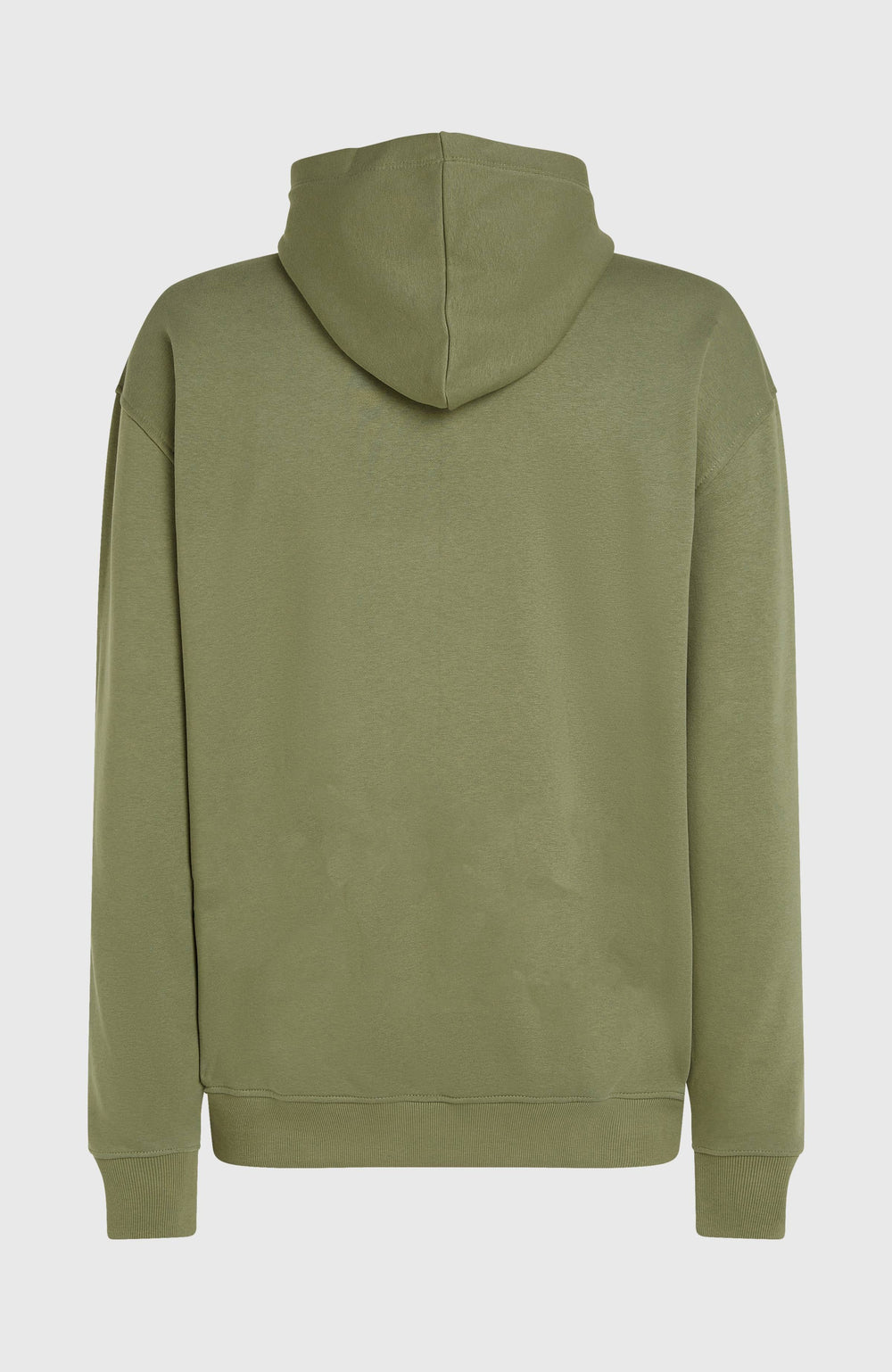Future Surf Society Hoodie Avery Fern