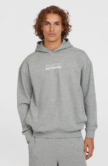 Future Surf Society Hoodie Silver Melee