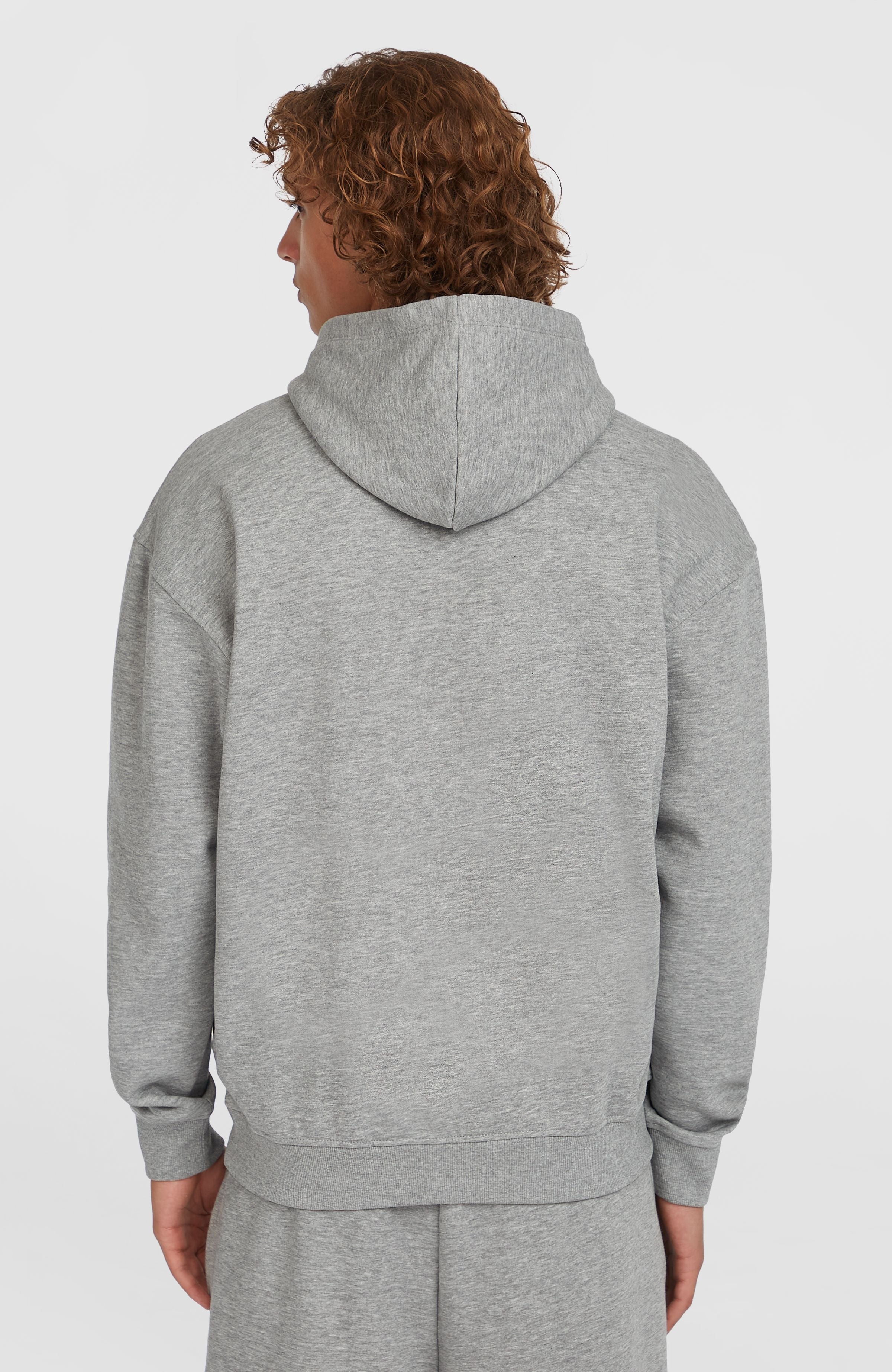 Future Surf Society Hoodie Silver Melee