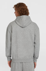 Future Surf Society Hoodie Silver Melee