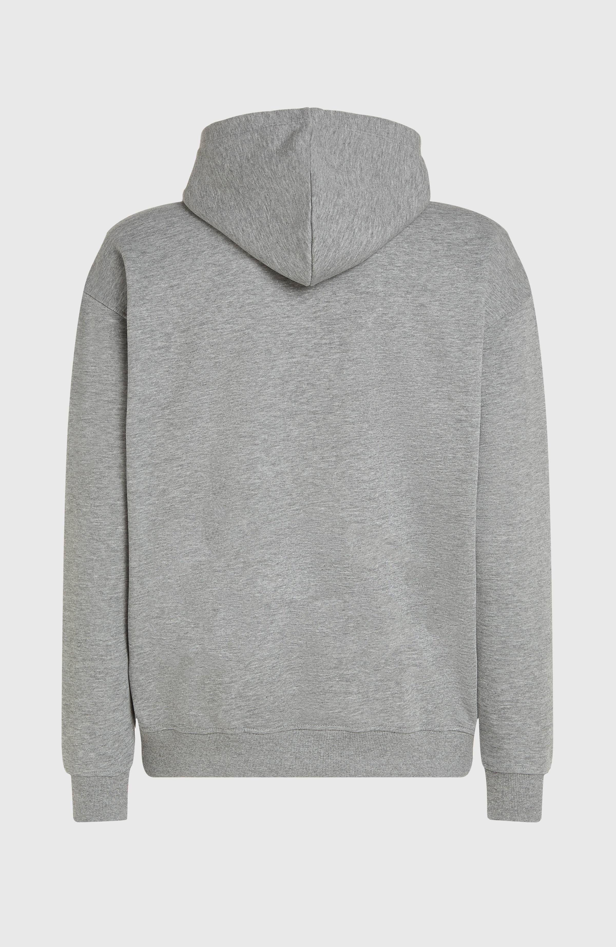 Future Surf Society Hoodie Silver Melee