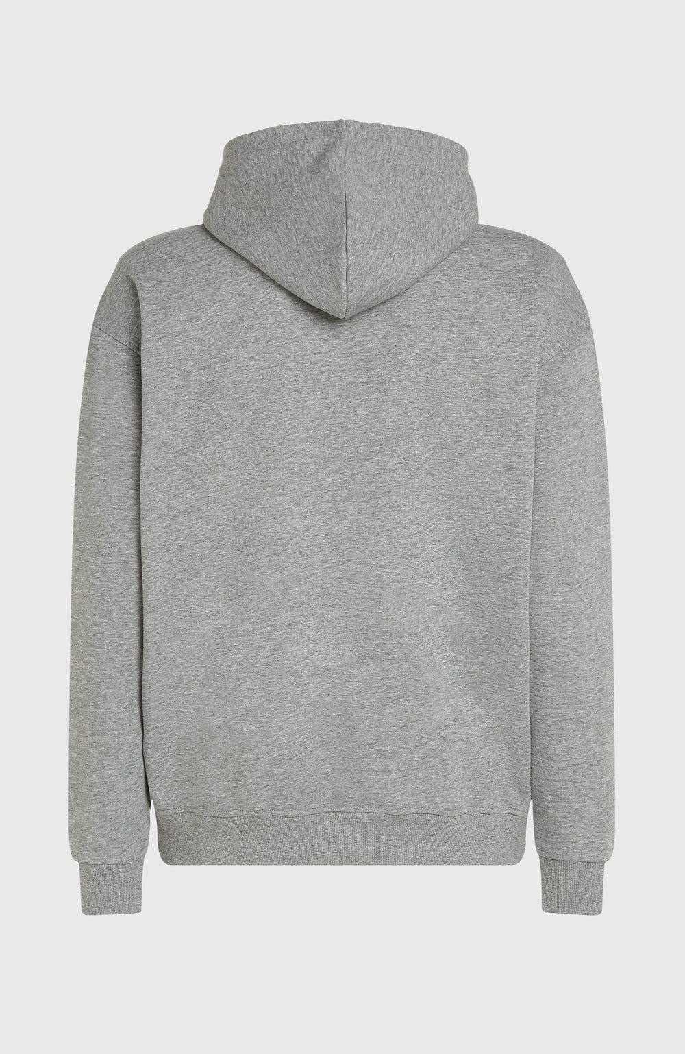 Future Surf Society Hoodie Silver Melee