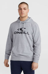 O'Neill Logo Hoodie Silver Melee