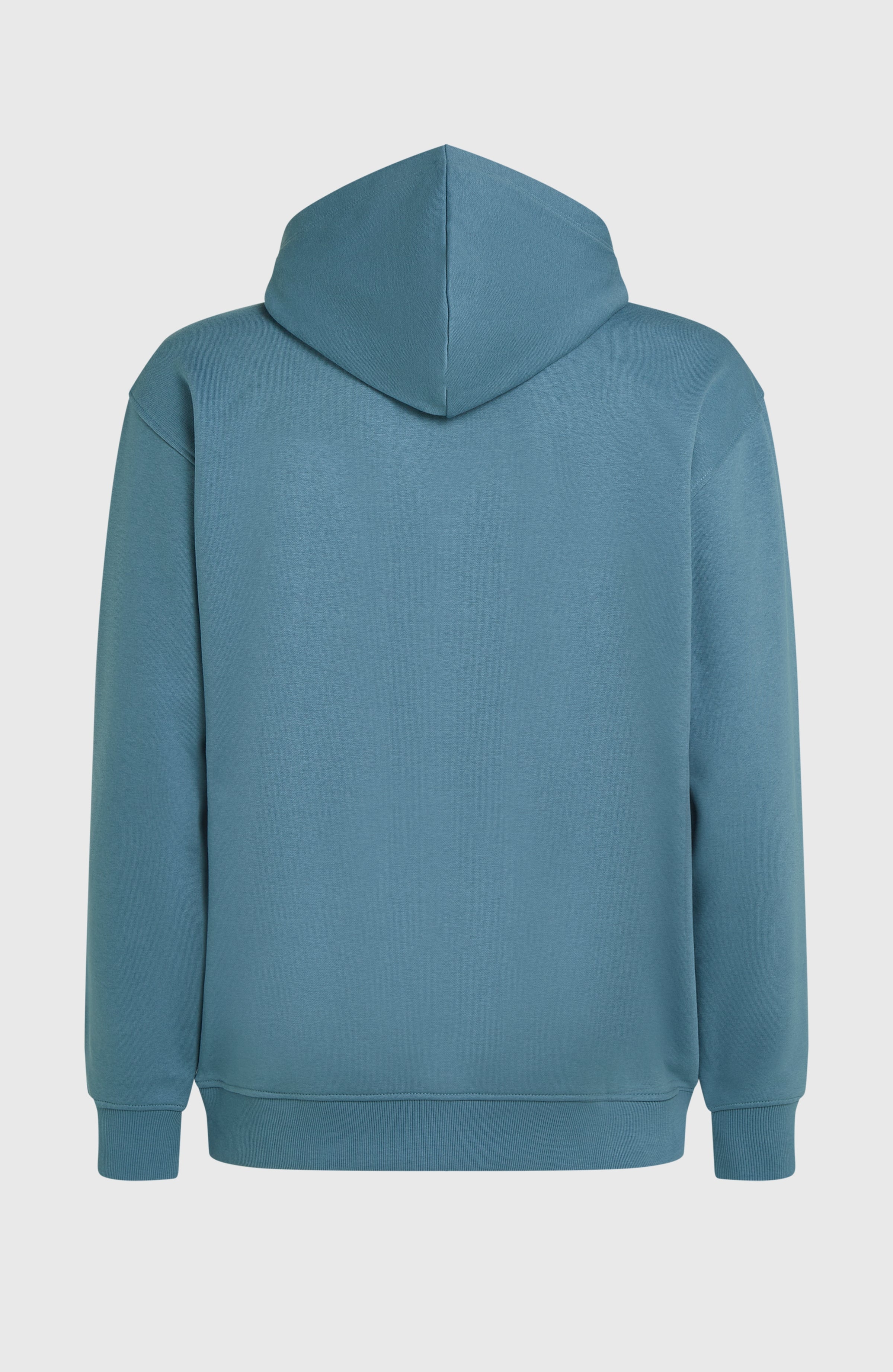 Future Surf Society Hoodie Mozart Blue