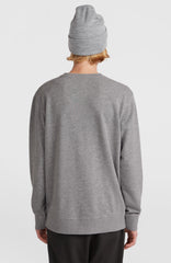 O'Neill Small Logo Crew Sweatshirt Silver Melee