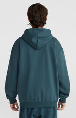 Future Surf Society Hoodie Alma Steel