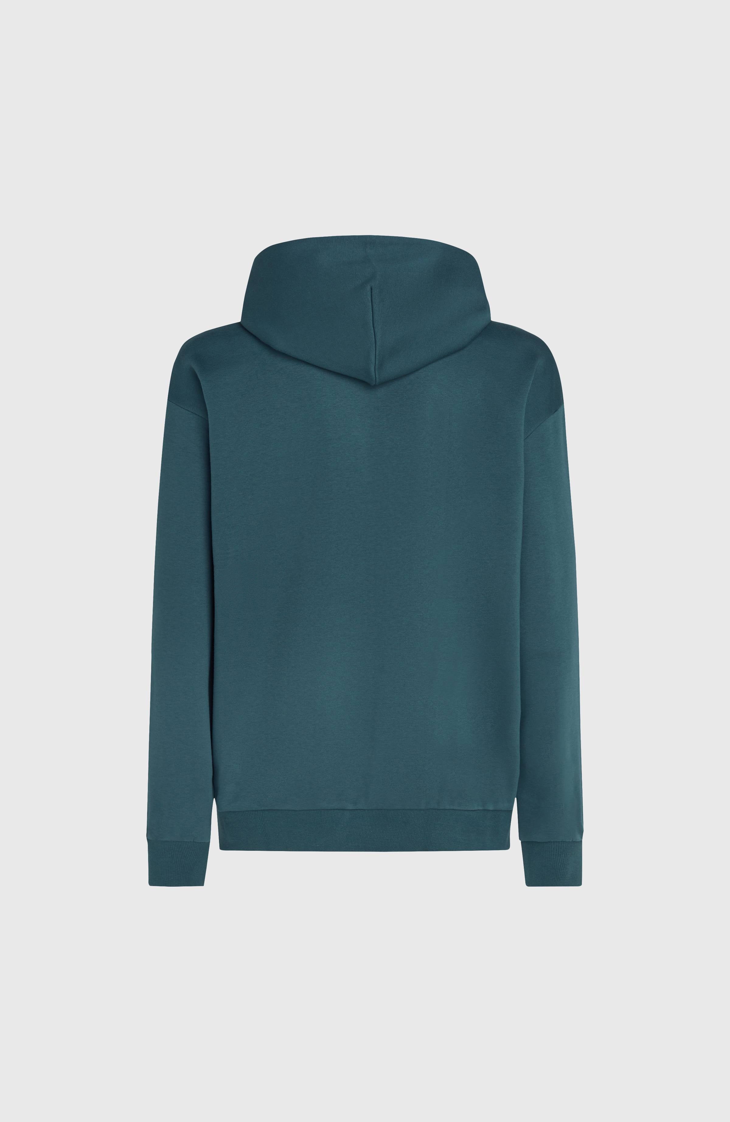 Future Surf Society Hoodie Alma Steel