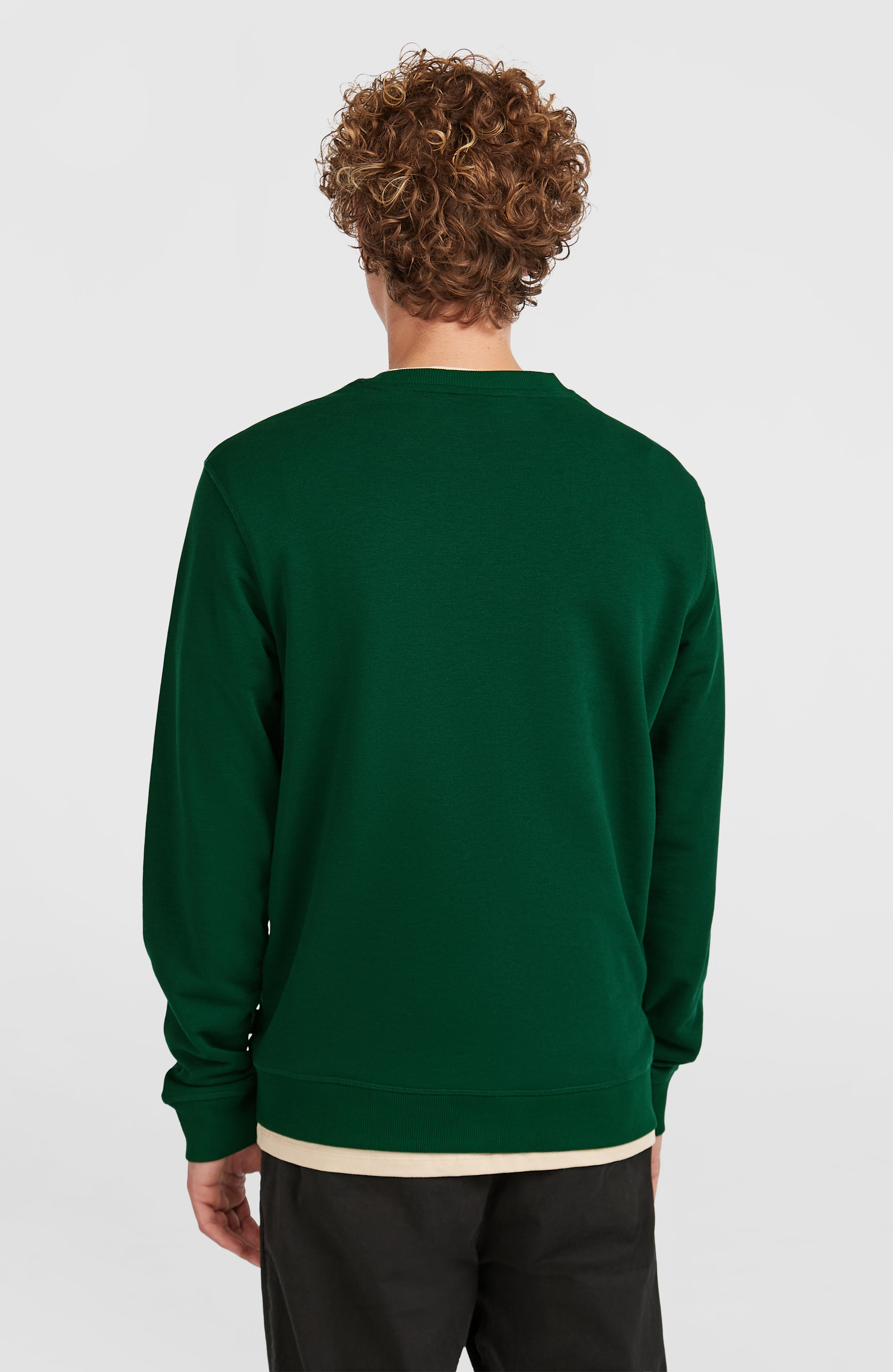 Small Logo Crew Sweatshirt Emerald Envy