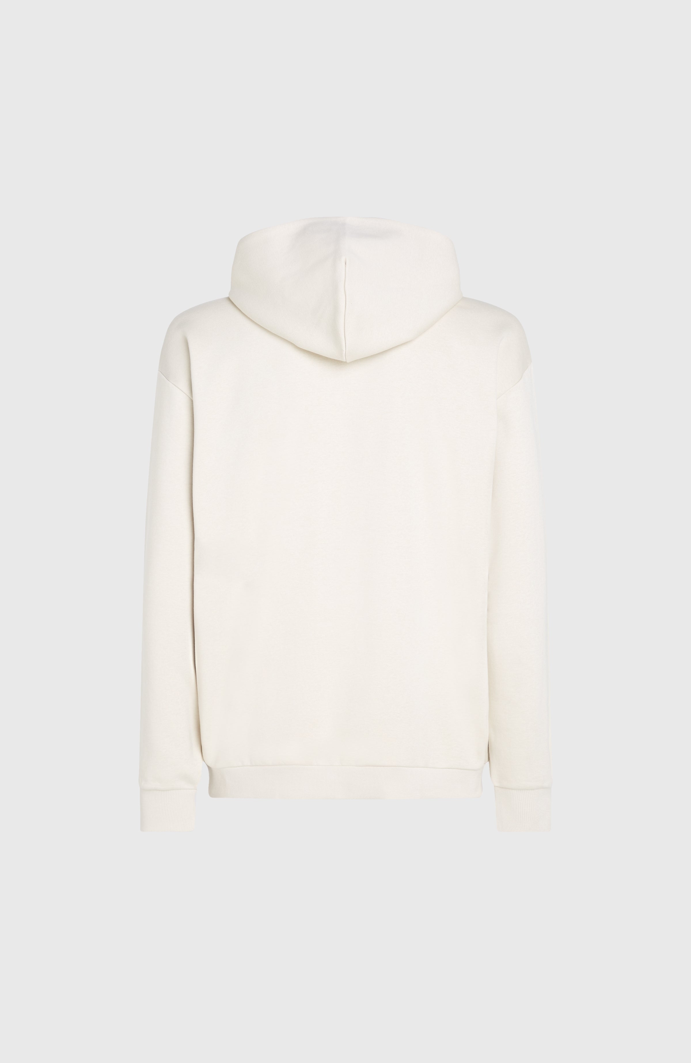 Future Surf Society Hoodie Atmosphere