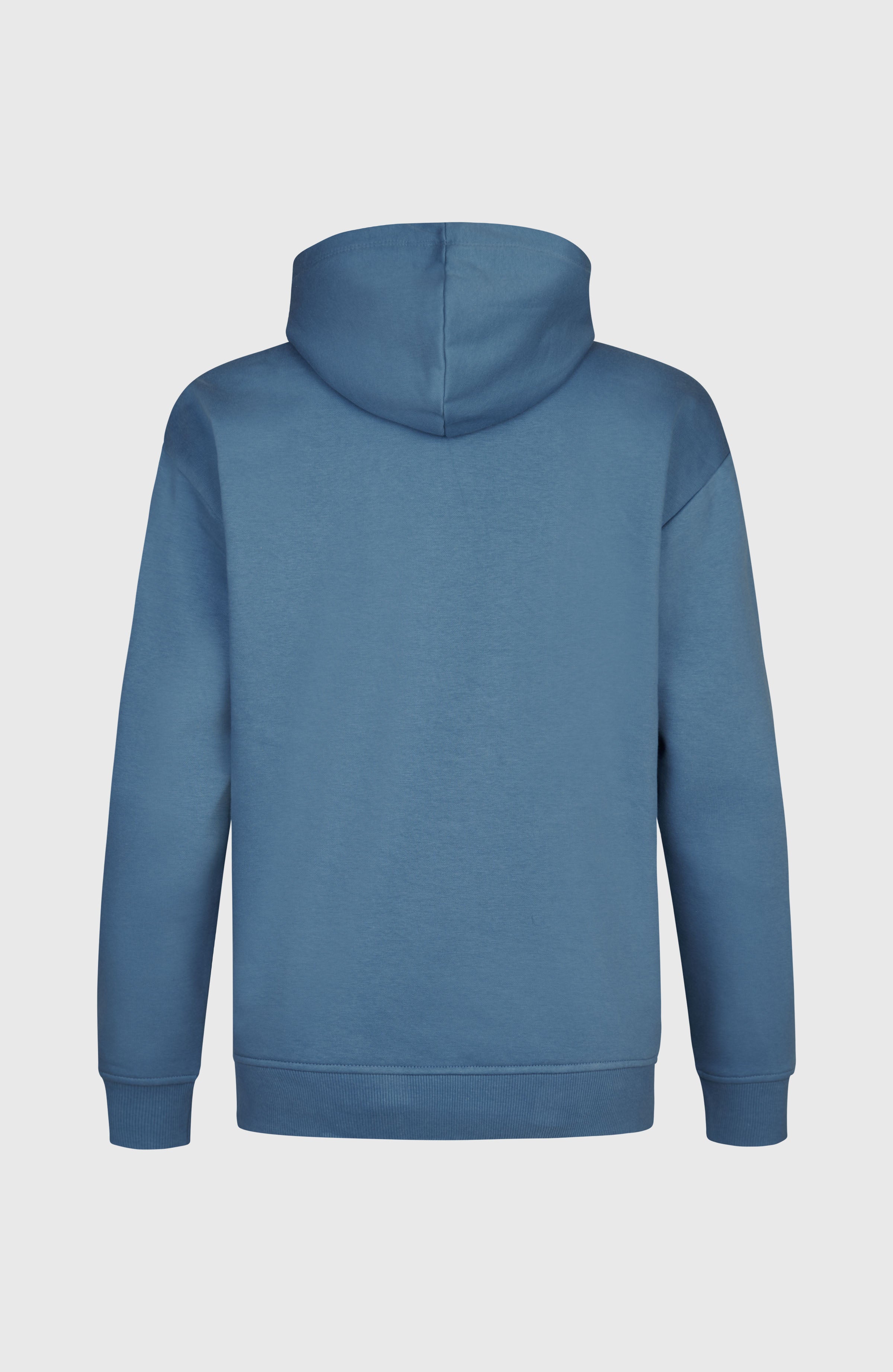 Future Surf Society Hoodie Copen Blue