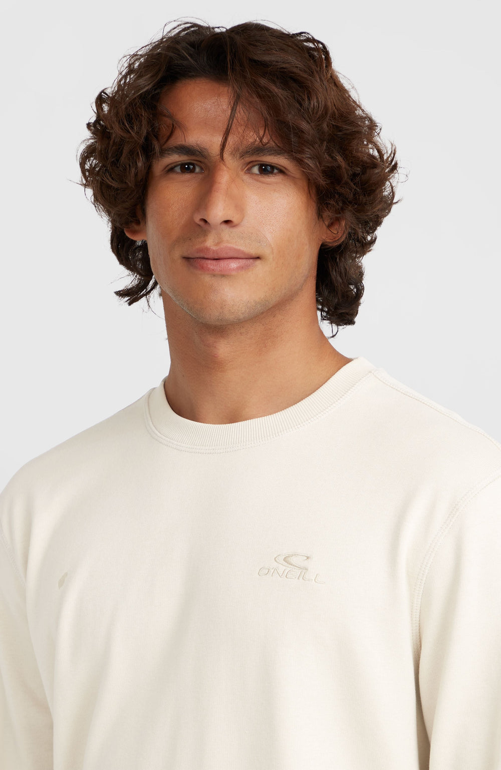 Small Logo Crew Sweatshirt Atmosphere
