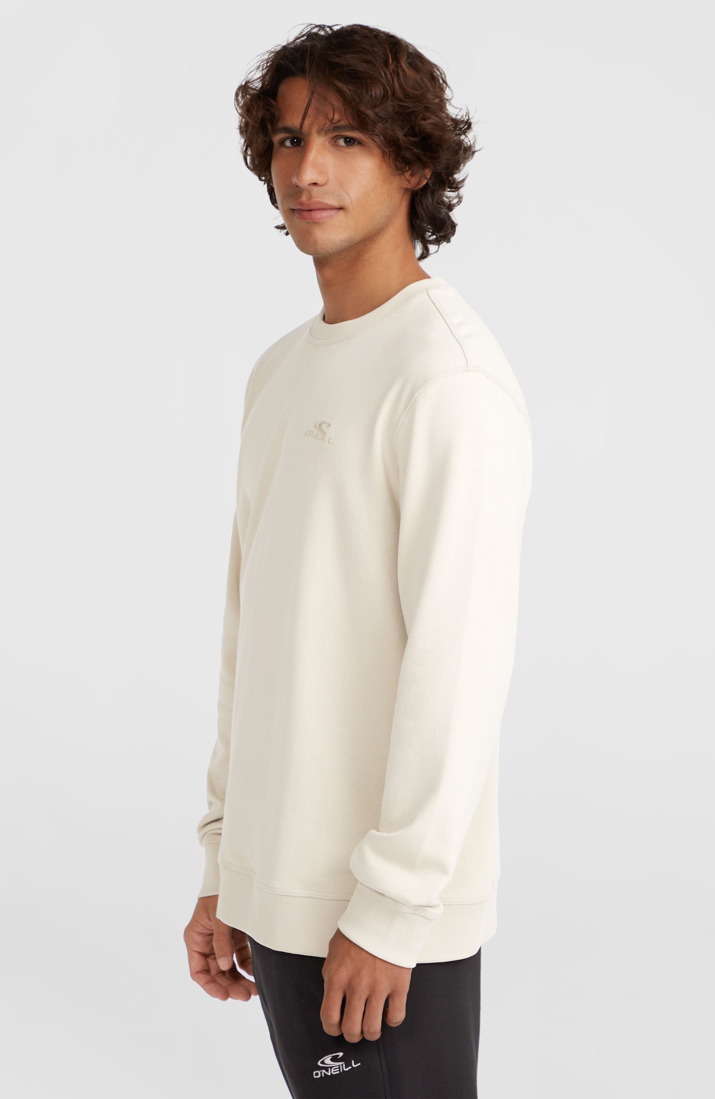 Small Logo Crew Sweatshirt Atmosphere