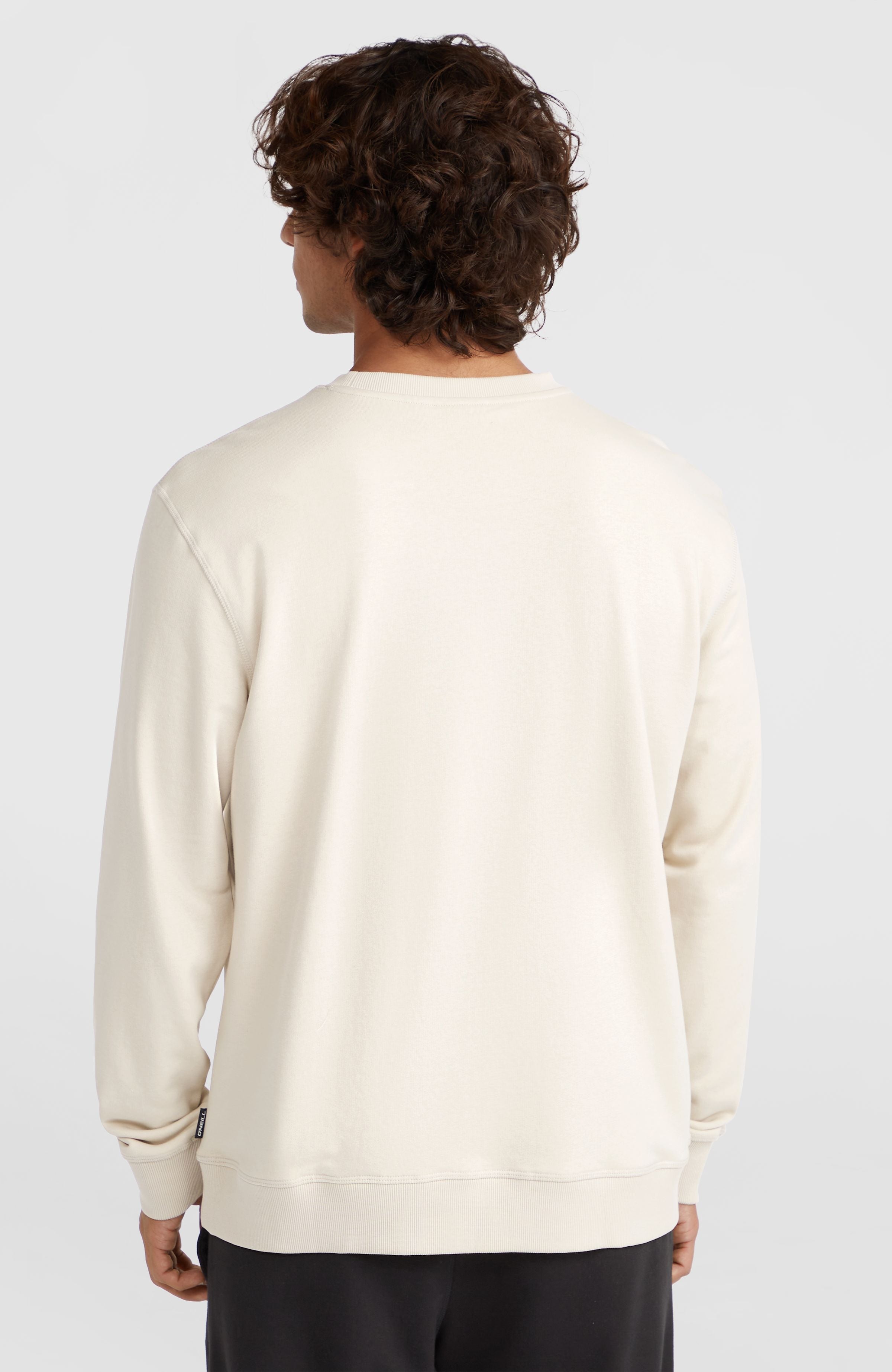 Small Logo Crew Sweatshirt Atmosphere