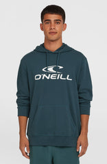 Logo Hoodie Alma Steel