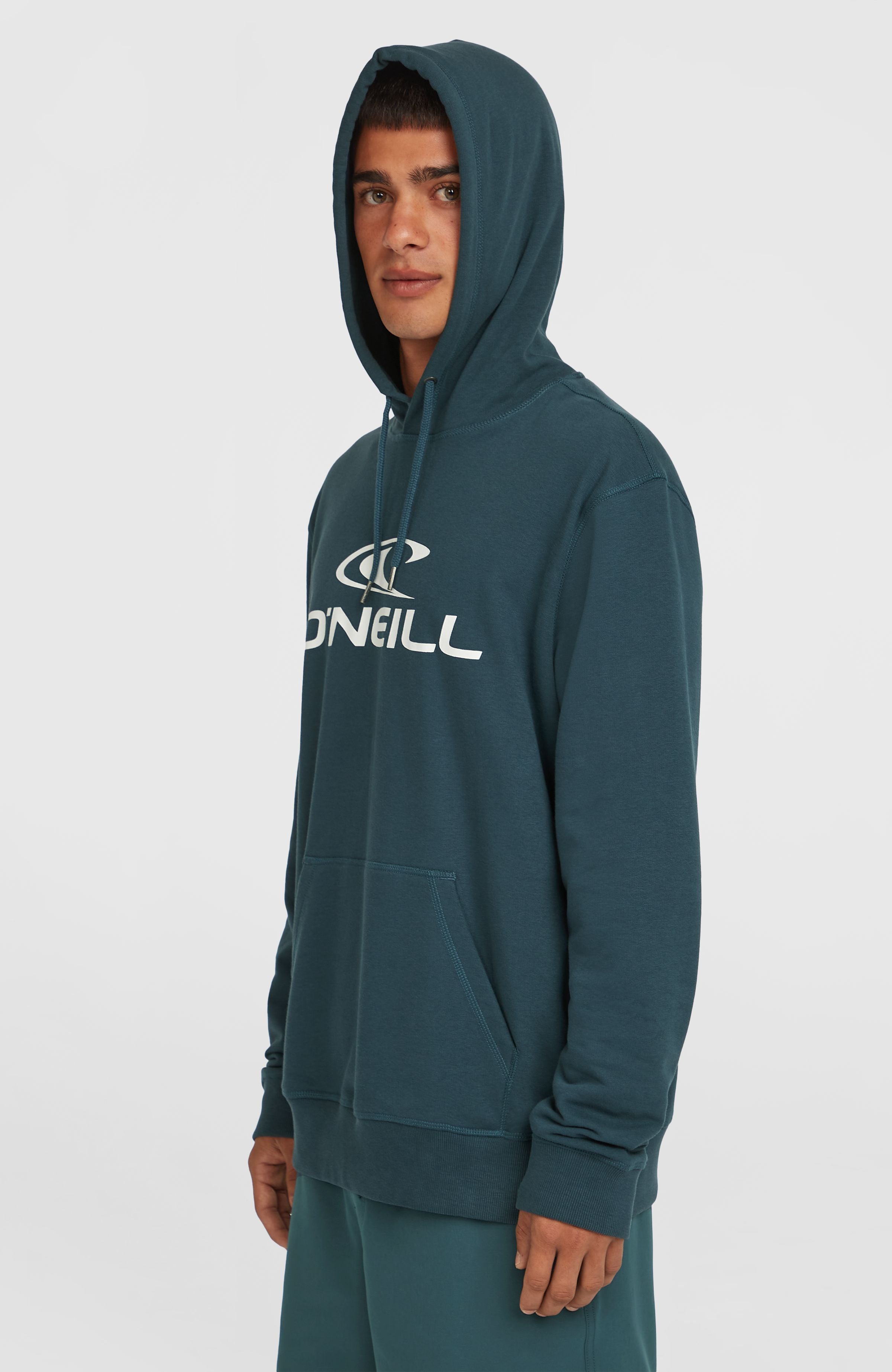 Logo Hoodie Alma Steel
