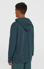 Logo Hoodie Alma Steel
