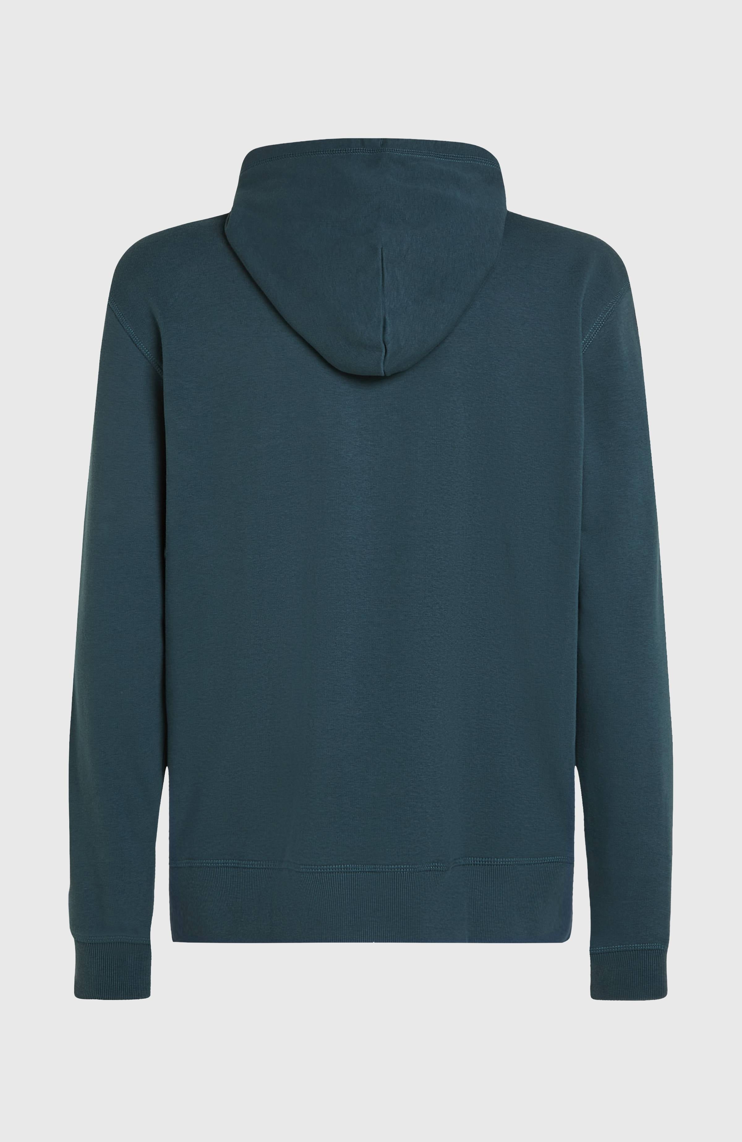 Logo Hoodie Alma Steel