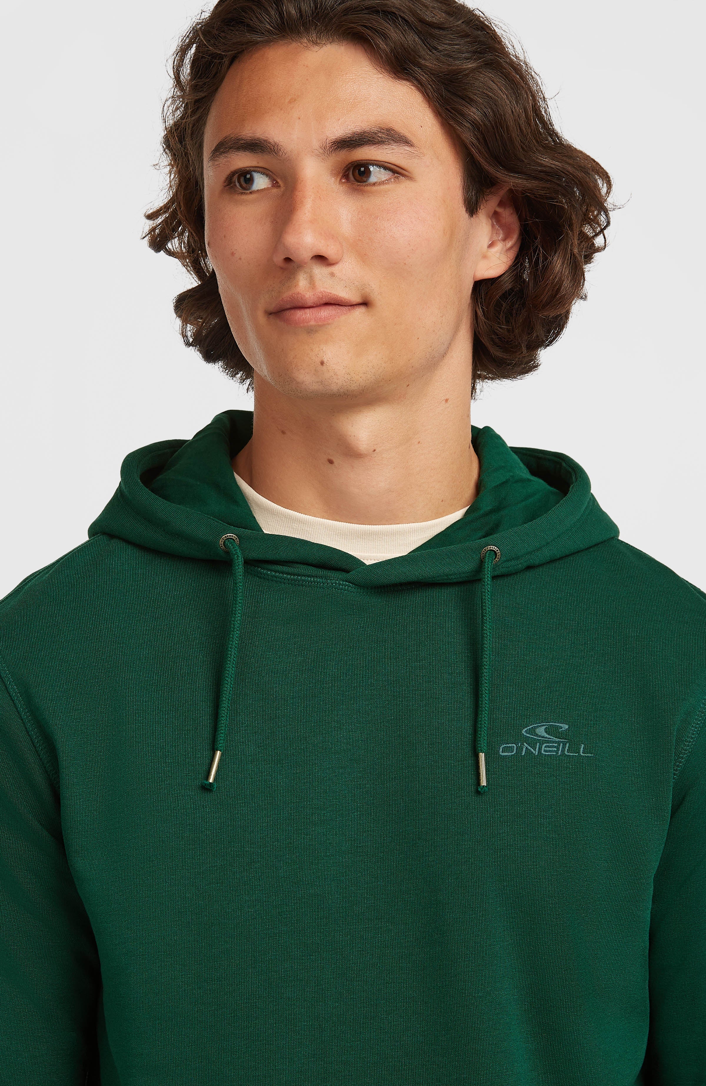Small Logo Hoodie Emerald Envy
