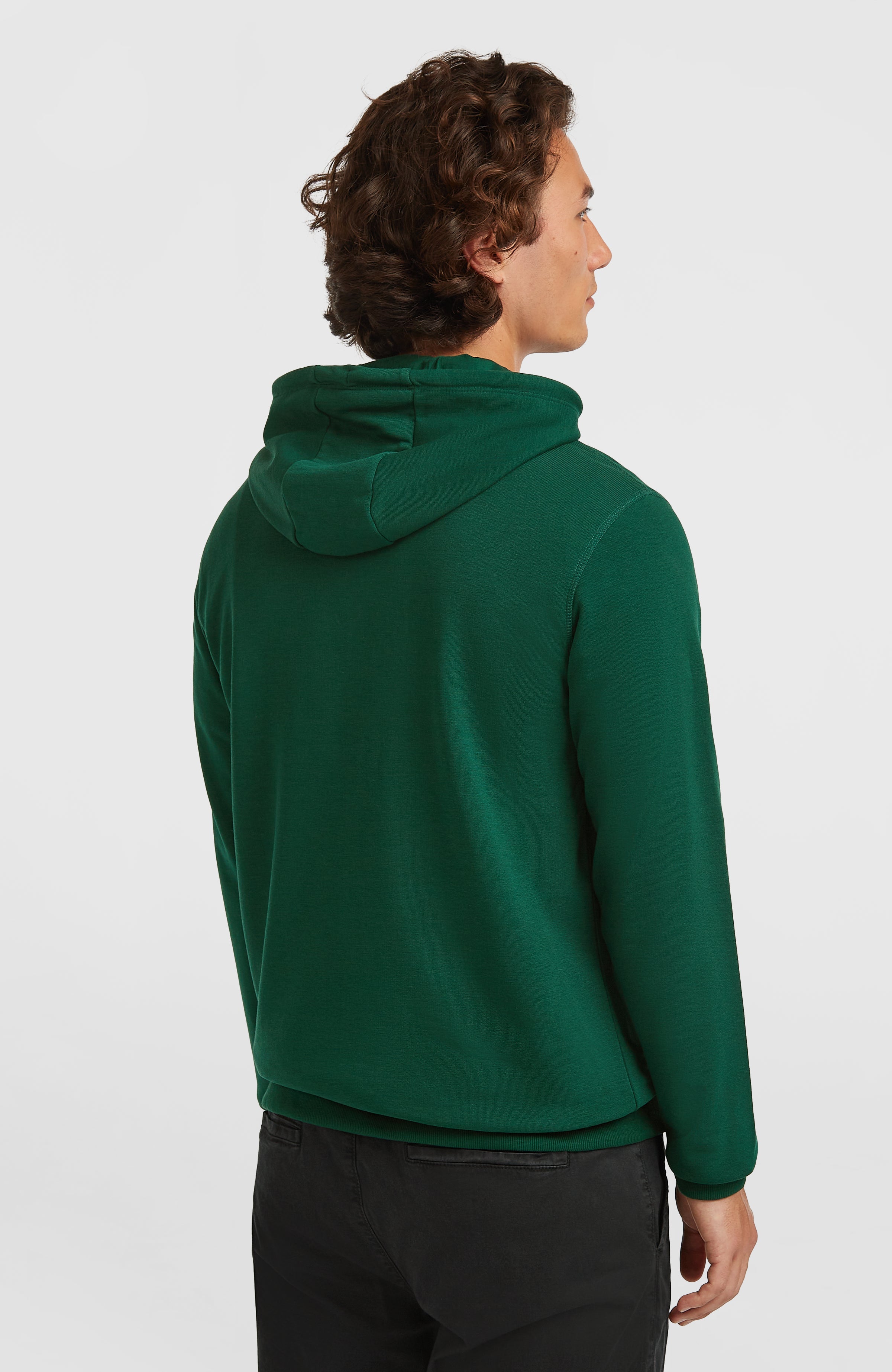 Small Logo Hoodie Emerald Envy