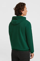 Small Logo Hoodie Emerald Envy
