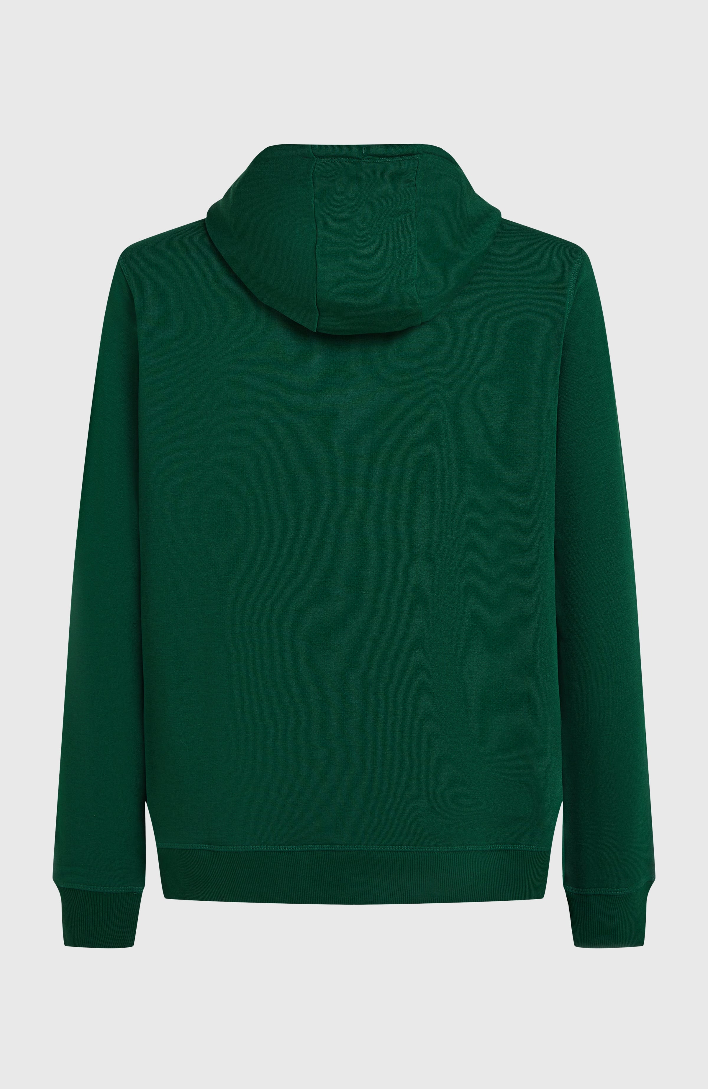 Small Logo Hoodie Emerald Envy
