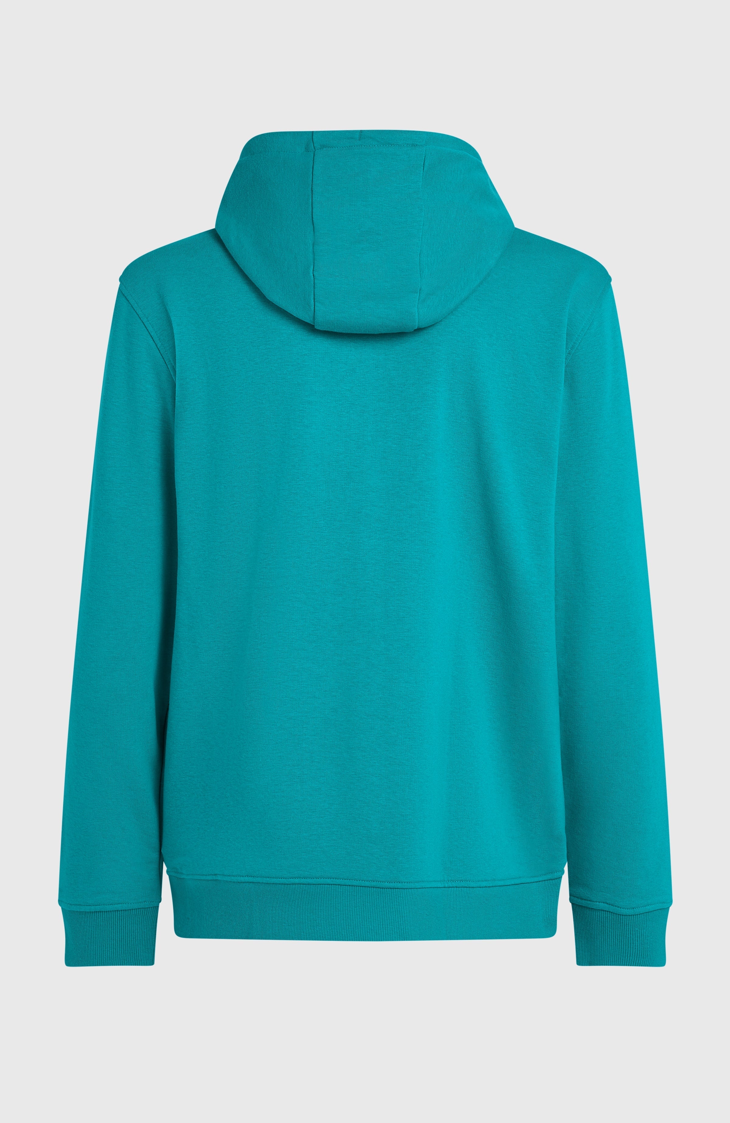 Graphic Hoodie Island Breeze