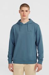 Small Logo Hoodie Mozart Blue
