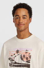 O’Neill Gradient T-Shirt Snow White