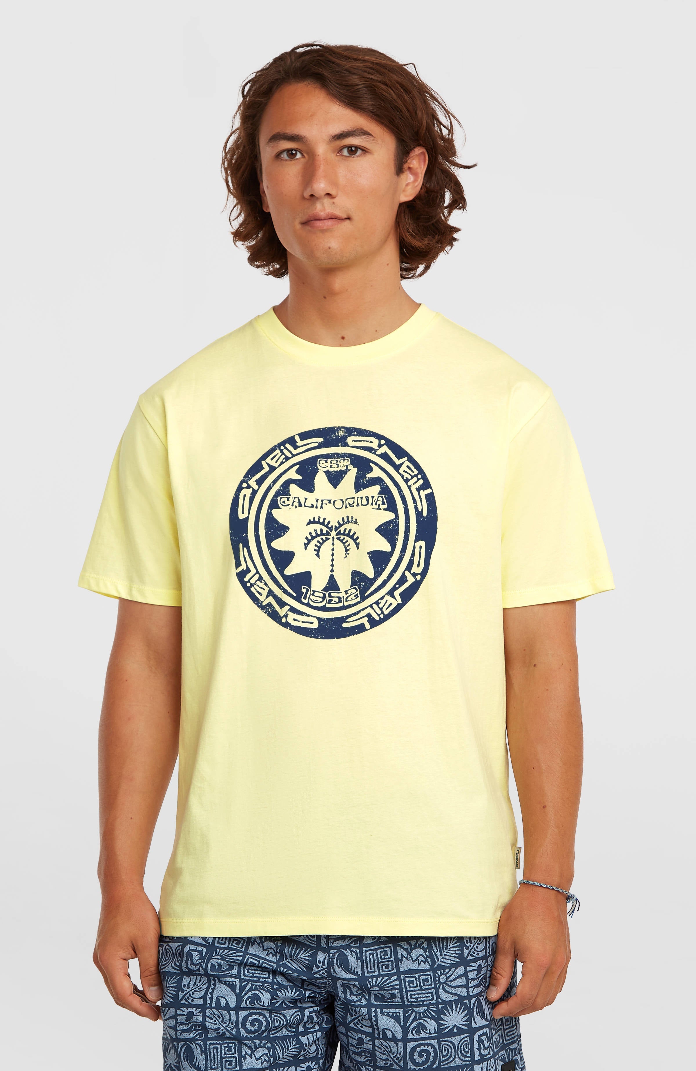 O'Neill Must-Have Graphic T-Shirt Rainforest Dew