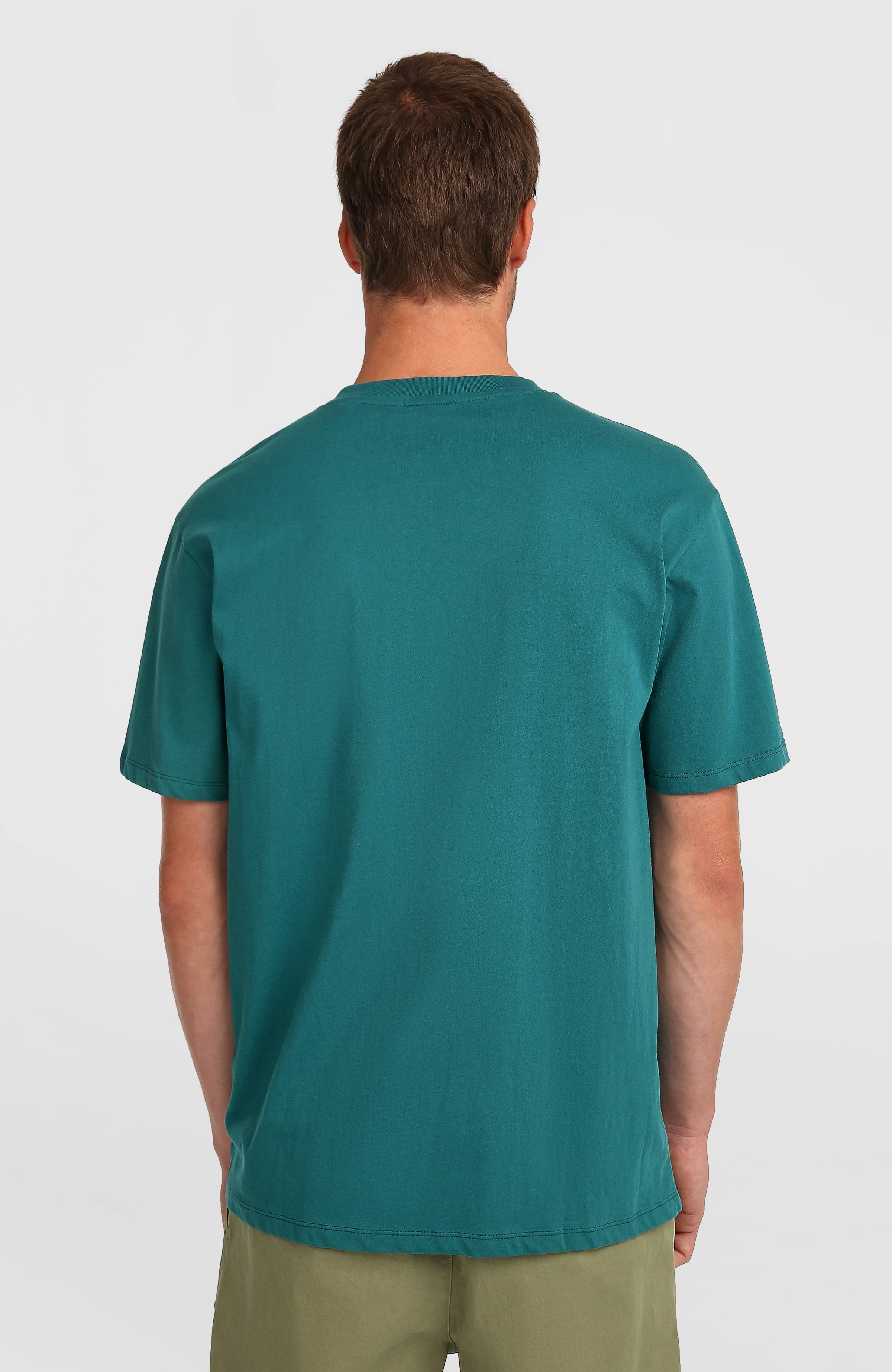 O'Neill Must-Have Graphic T-Shirt Botanical Heat