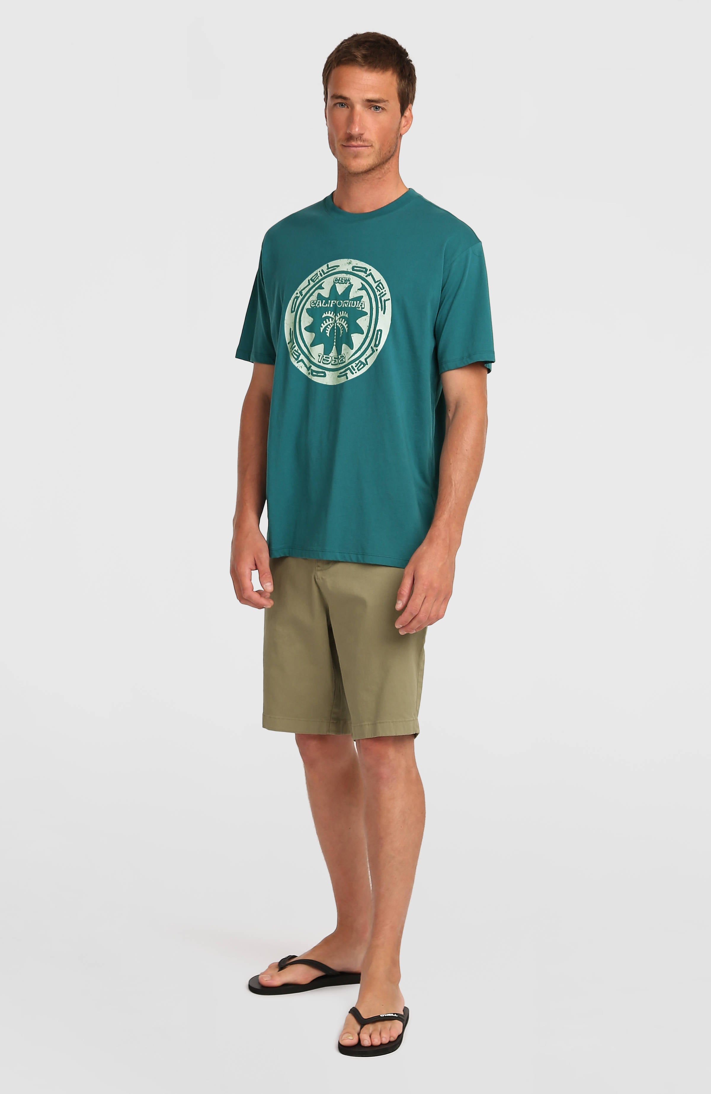 O'Neill Must-Have Graphic T-Shirt Botanical Heat