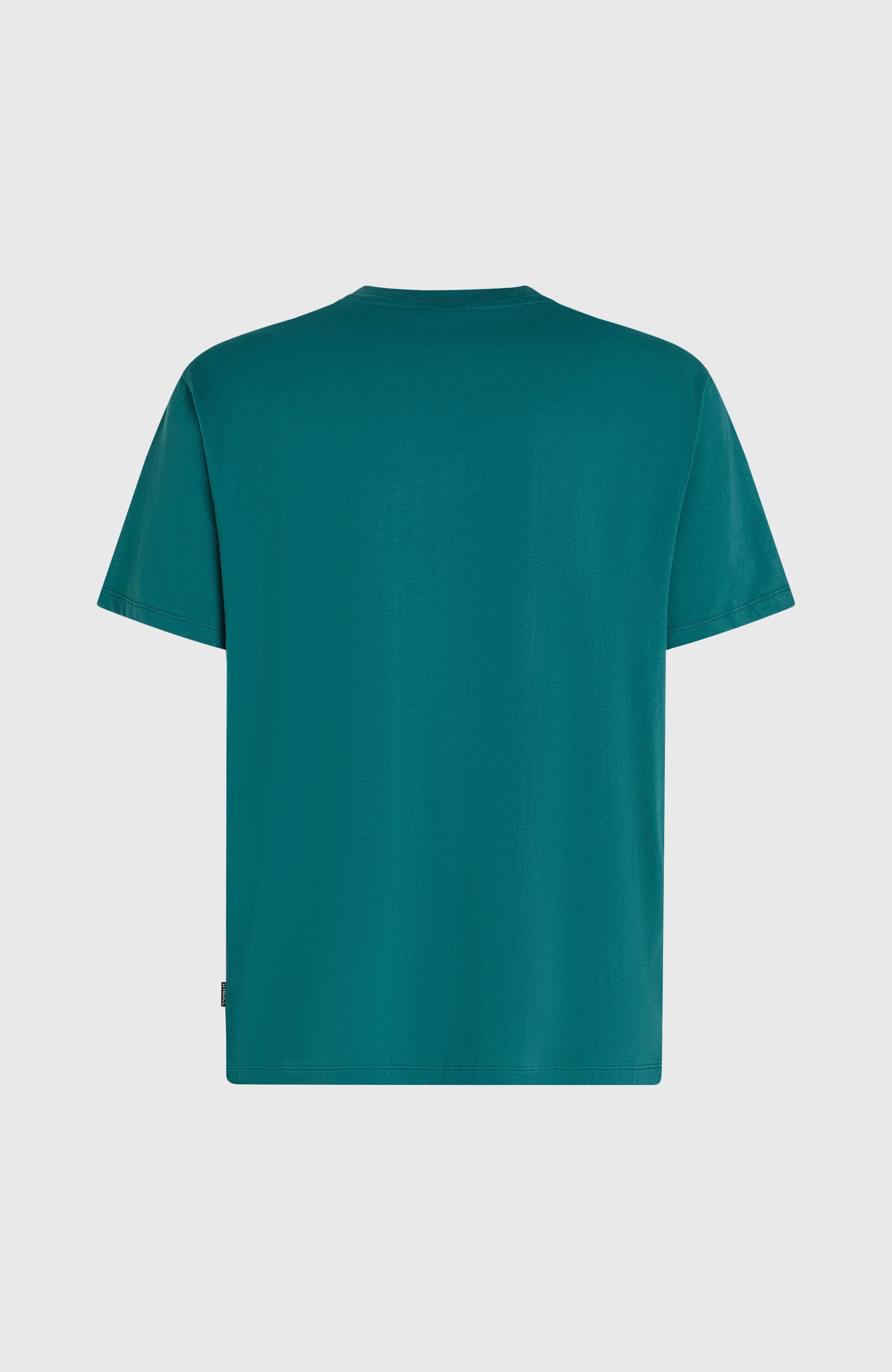 O'Neill Must-Have Graphic T-Shirt Botanical Heat