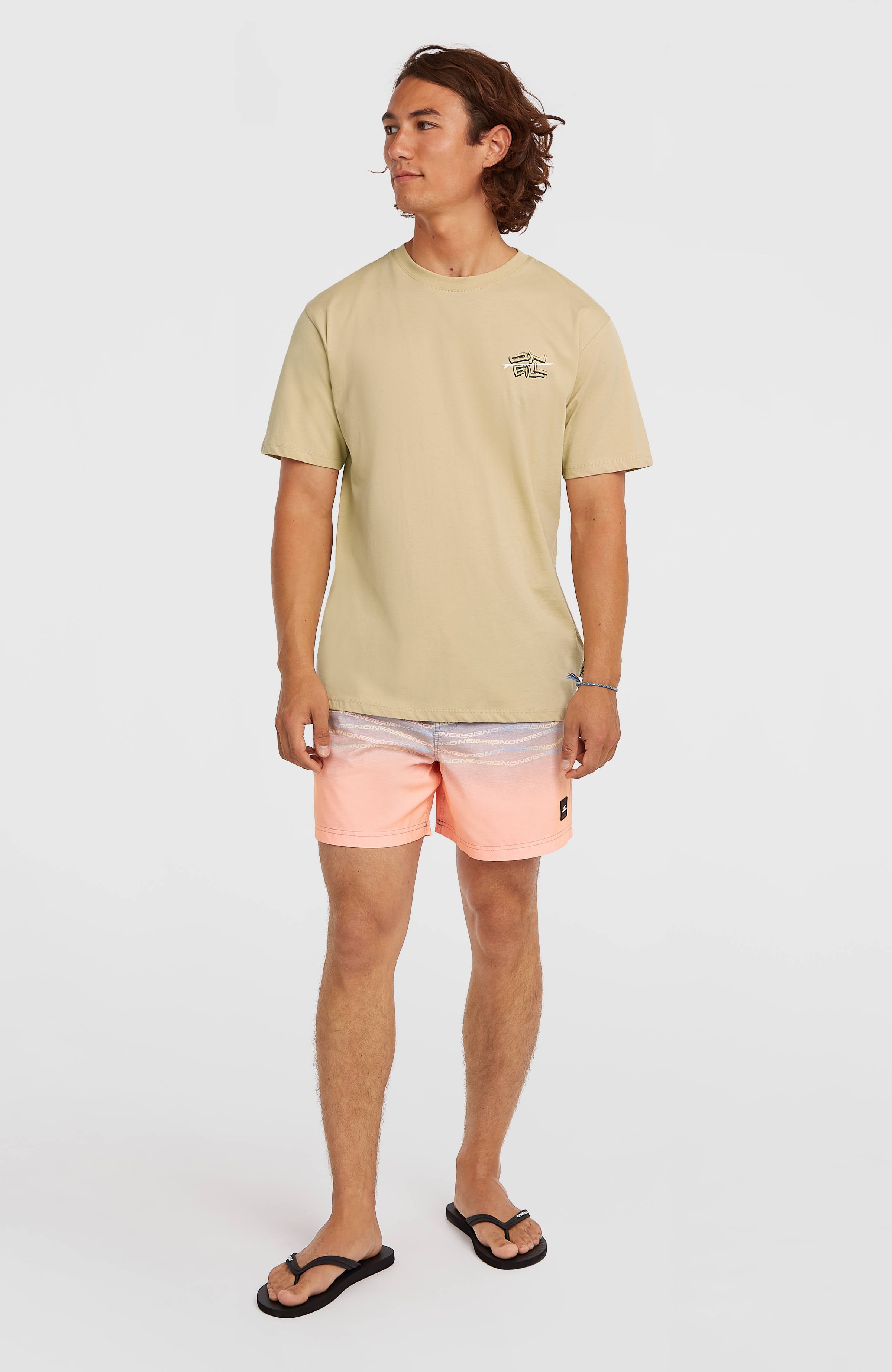 O’Neill Retro Back Print T-Shirt Cocoa Sand