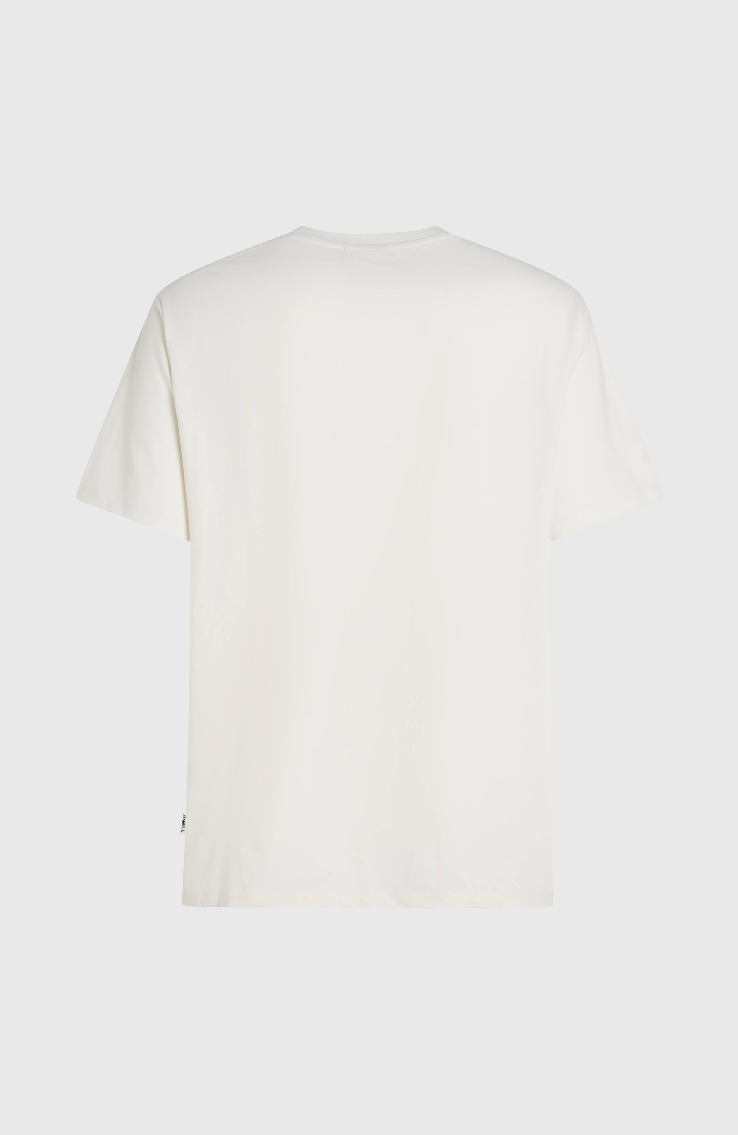 O’Neill Melange Front Print T-Shirt Snow White