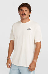 O'Neill Small Logo T-Shirt Snow White
