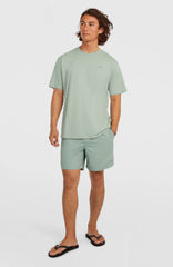 O'Neill Small Logo T-Shirt Marble Arch