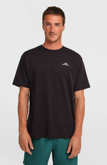 O'Neill Small Logo T-Shirt Black Out