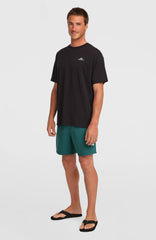O'Neill Small Logo T-Shirt Black Out