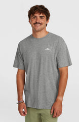 O'Neill Small Logo T-Shirt Silver Melee