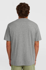 O'Neill Small Logo T-Shirt Silver Melee