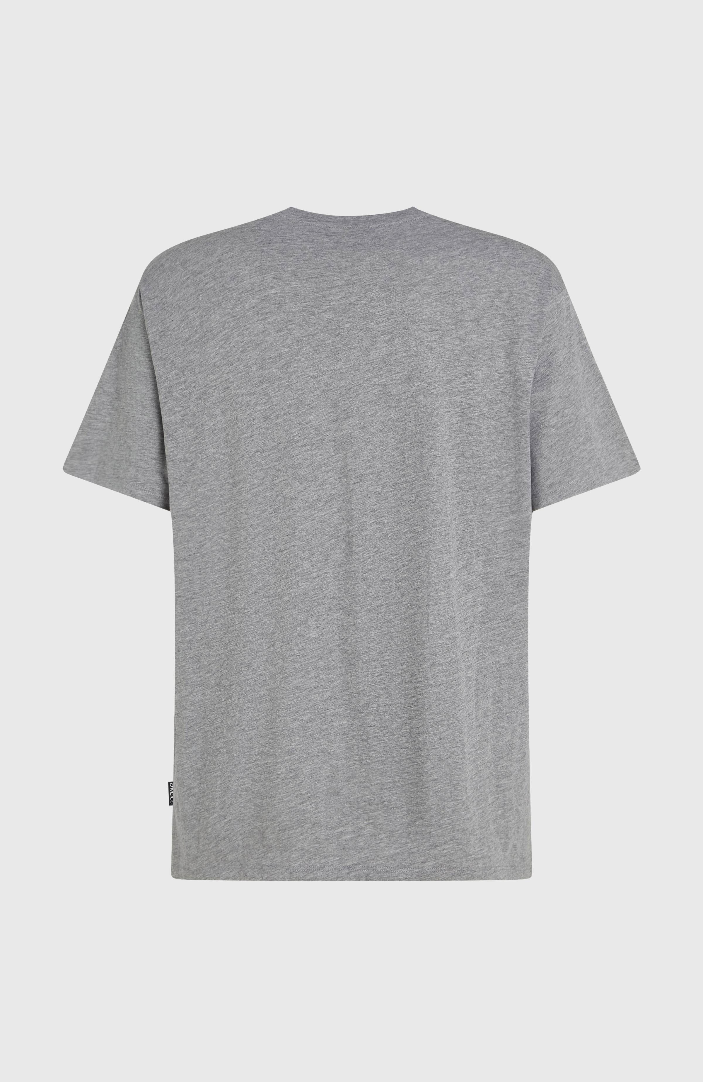 O'Neill Small Logo T-Shirt Silver Melee