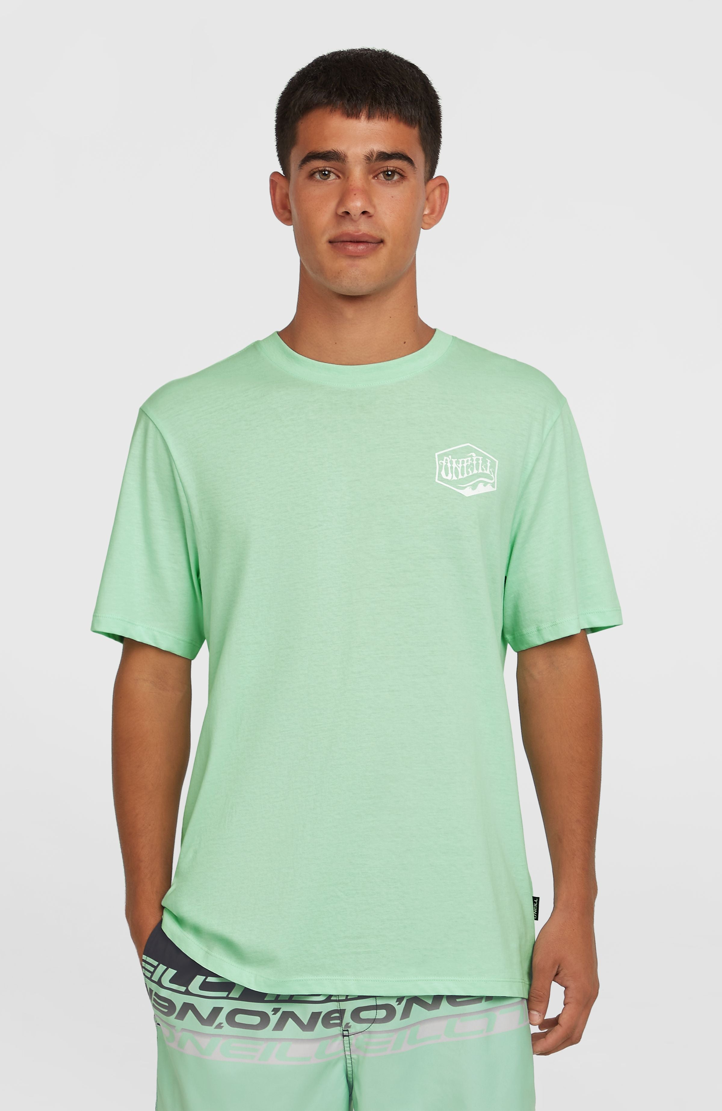 Box Logo T-Shirt Mildrew Mint