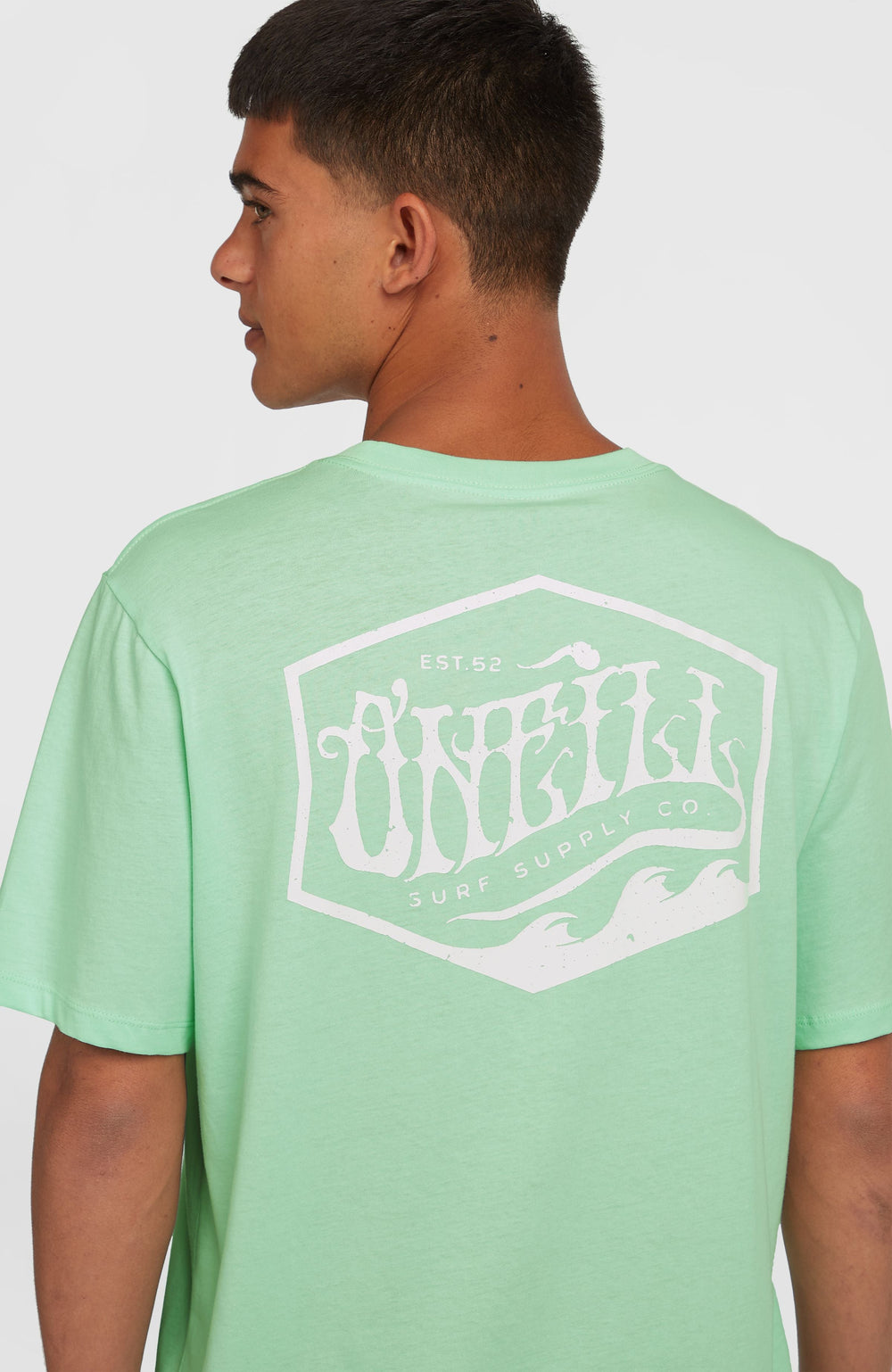 Box Logo T-Shirt Mildrew Mint